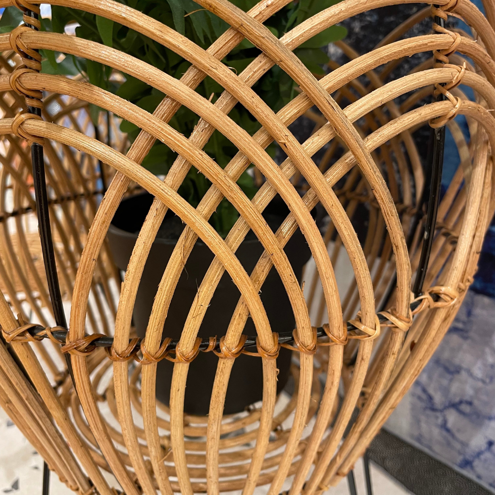 Portamacetero Mauro Grande