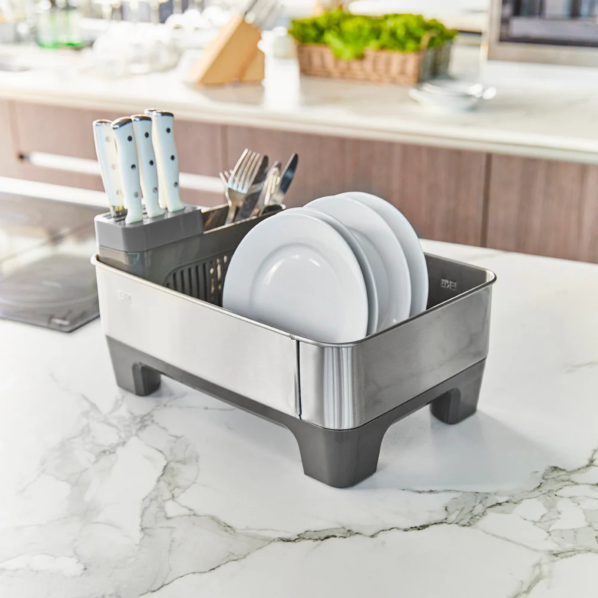 imagen 10 2000x2000