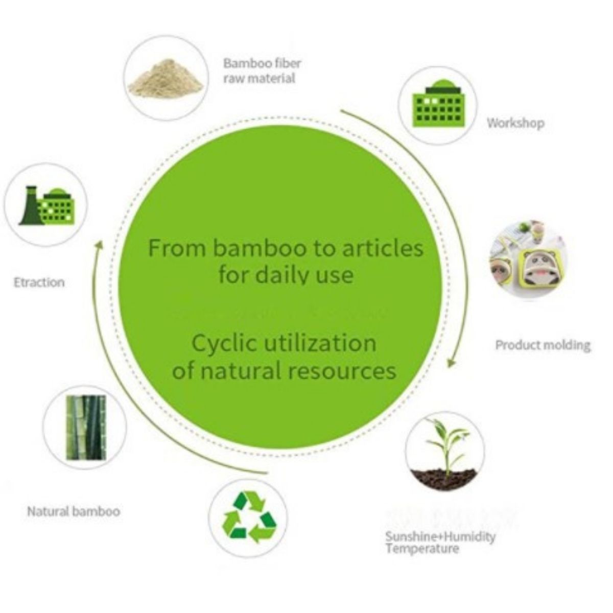 Set alimentación de Fibra de Bambú Ficcus